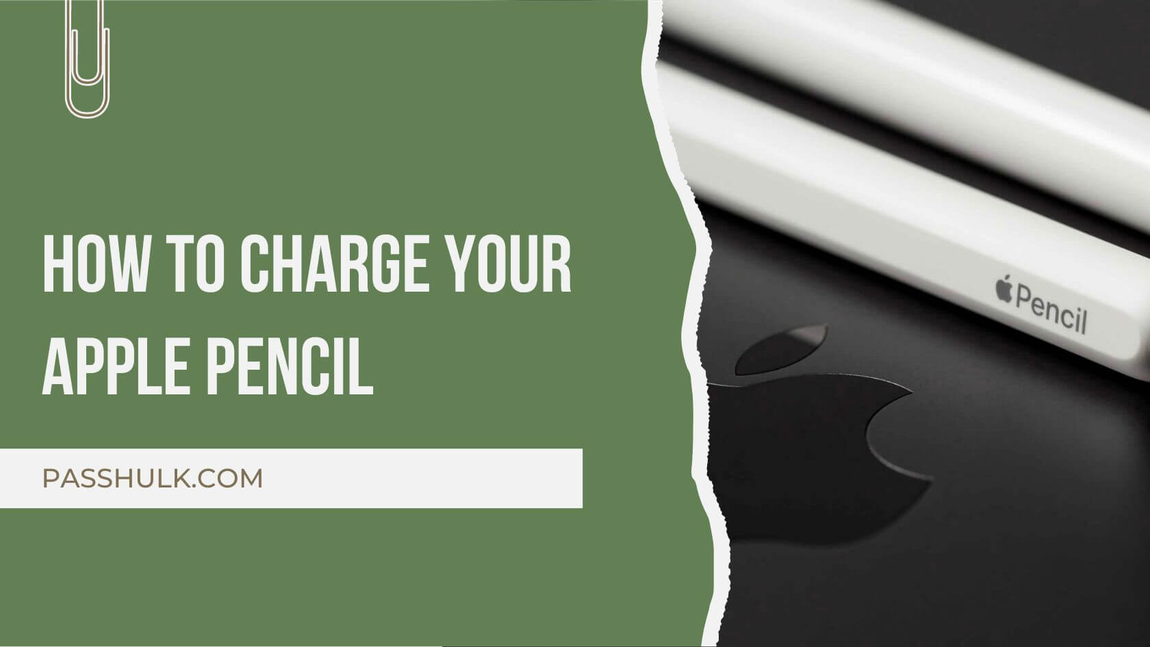 How to Charge Your Apple Pencil – Detailed Guide